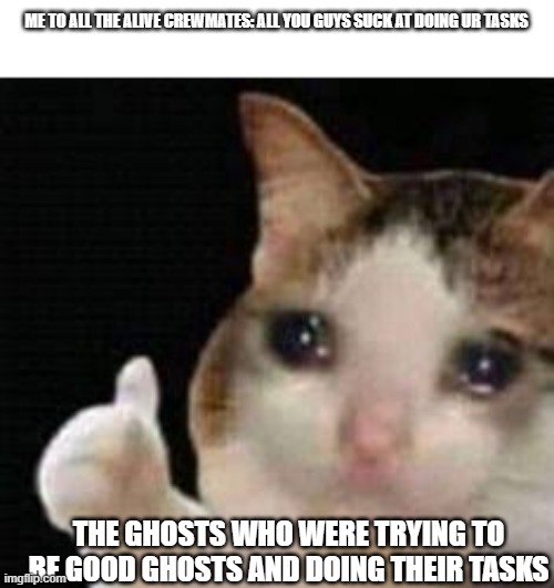 Never abuse the ghosts | ME TO ALL THE ALIVE CREWMATES: ALL YOU GUYS SUCK AT DOING UR TASKS; THE GHOSTS WHO WERE TRYING TO BE GOOD GHOSTS AND DOING THEIR TASKS | image tagged in approved crying cat | made w/ Imgflip meme maker