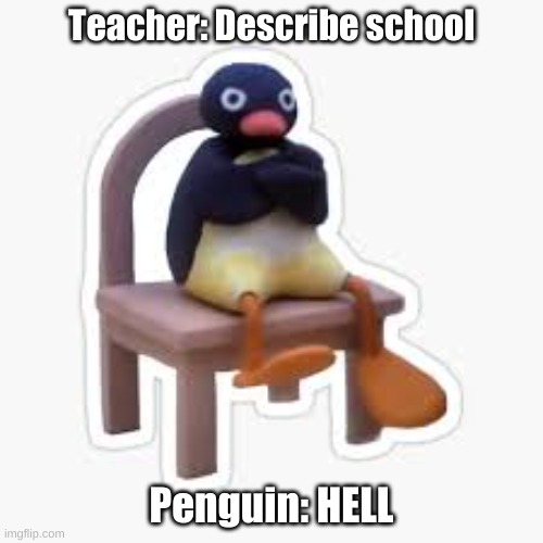 School | Teacher: Describe school; Penguin: HELL | image tagged in mad mr penguin | made w/ Imgflip meme maker
