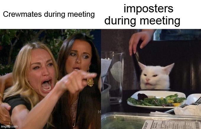 Woman Yelling At Cat Meme | Crewmates during meeting; imposters during meeting | image tagged in memes,woman yelling at cat | made w/ Imgflip meme maker