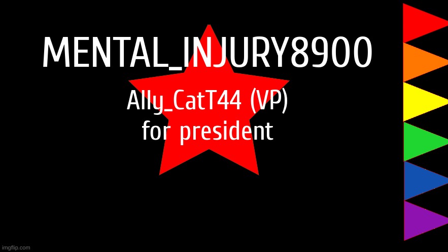 Vote December 29th! | image tagged in mental_injury8900 for president,ally_catt44,vote | made w/ Imgflip meme maker