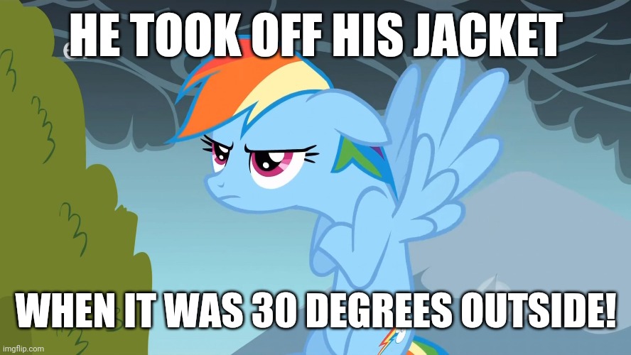 It's getting pretty cold outside | HE TOOK OFF HIS JACKET; WHEN IT WAS 30 DEGREES OUTSIDE! | image tagged in grumpy pony,memes,cold weather,jacket | made w/ Imgflip meme maker
