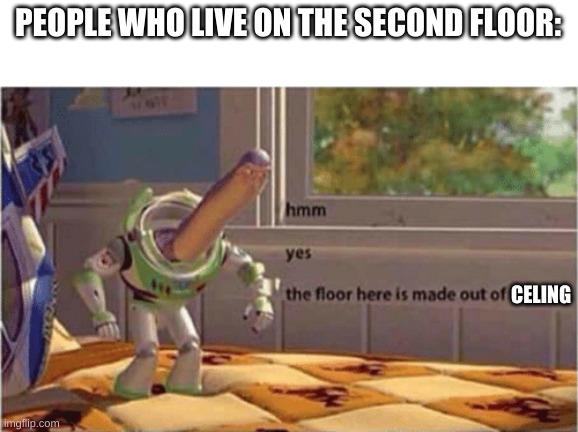 its true | PEOPLE WHO LIVE ON THE SECOND FLOOR:; CELING | image tagged in hmm yes the floor here is made out of floor | made w/ Imgflip meme maker