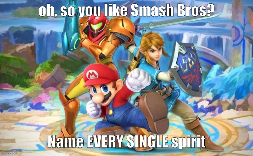 oh, so you like Smash Bros? Name EVERY SINGLE spirit | image tagged in super smash bros,spirit | made w/ Imgflip meme maker