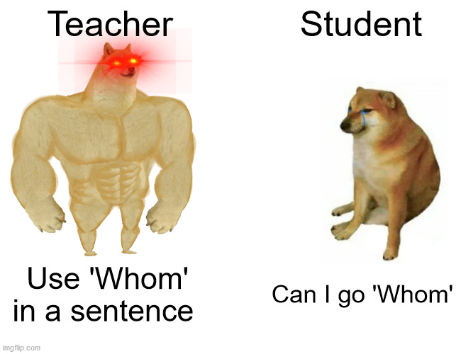 Students vs Teachers | Teacher; Student; Use 'Whom' in a sentence; Can I go 'Whom' | image tagged in memes,buff doge vs cheems | made w/ Imgflip meme maker