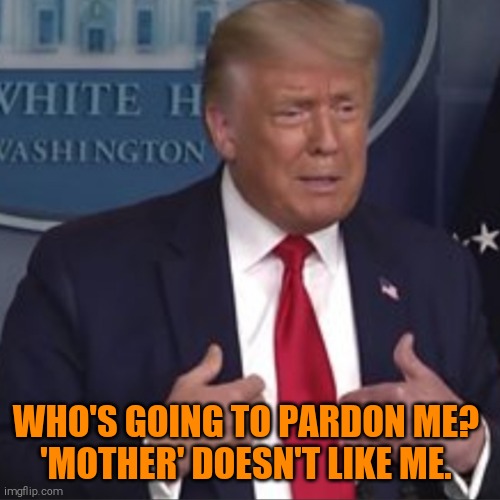 #diaperdon | WHO'S GOING TO PARDON ME? 
'MOTHER' DOESN'T LIKE ME. | image tagged in memes,donald trump,loser | made w/ Imgflip meme maker