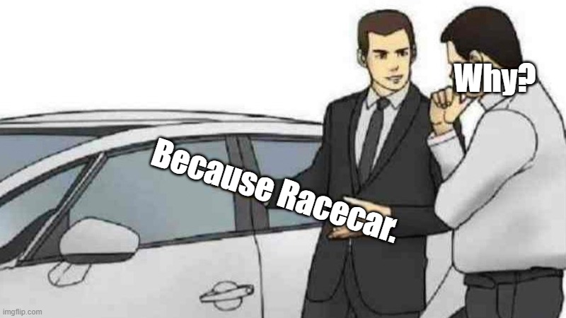Men logic. | Why? Because Racecar. | image tagged in memes,car salesman slaps roof of car | made w/ Imgflip meme maker