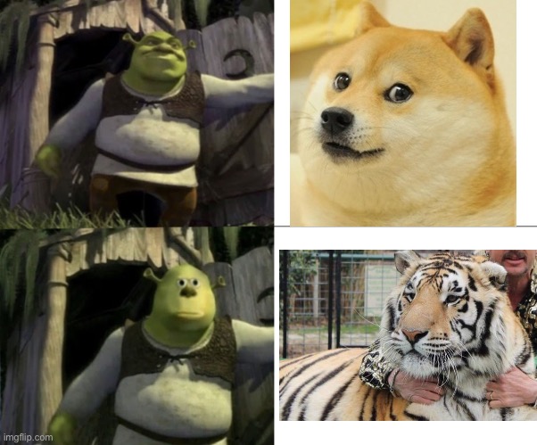 Doge vs Tiger King | image tagged in shocked shrek face swap,doge,tiger king,memes | made w/ Imgflip meme maker
