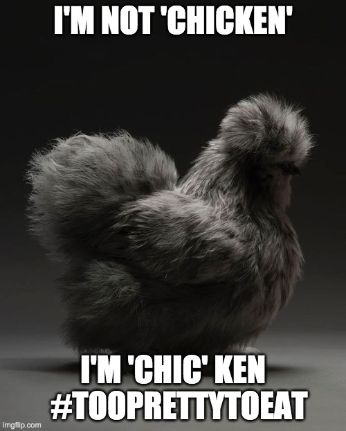 #tooprettytoeat | I'M NOT 'CHICKEN'; I'M 'CHIC' KEN   #TOOPRETTYTOEAT | image tagged in chicken,vegetarian | made w/ Imgflip meme maker