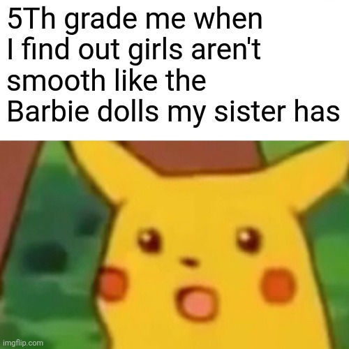 Surprised Pikachu | 5Th grade me when I find out girls aren't smooth like the Barbie dolls my sister has | image tagged in memes,surprised pikachu,funny | made w/ Imgflip meme maker