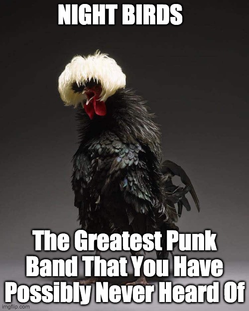 NightBirds | NIGHT BIRDS; The Greatest Punk Band That You Have Possibly Never Heard Of | image tagged in punk rock,bird weekend | made w/ Imgflip meme maker