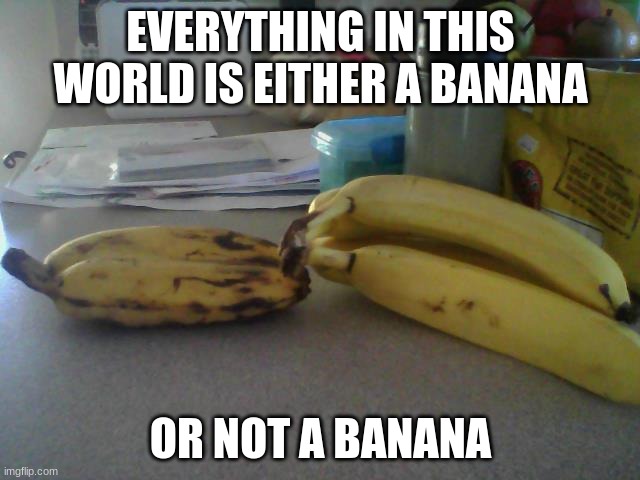 banana | EVERYTHING IN THIS WORLD IS EITHER A BANANA; OR NOT A BANANA | image tagged in bannana - 1 in 1000 | made w/ Imgflip meme maker