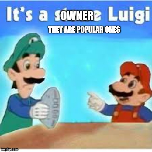 its a stone luigi | OWNER; THEY ARE POPULAR ONES | image tagged in its a stone luigi | made w/ Imgflip meme maker