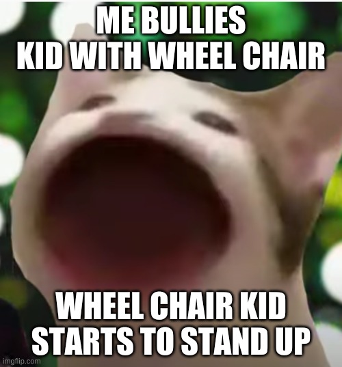 Bullie | ME BULLIES KID WITH WHEEL CHAIR; WHEEL CHAIR KID STARTS TO STAND UP | image tagged in suprised | made w/ Imgflip meme maker