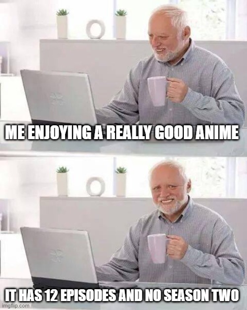 Hide the Pain Harold Meme | ME ENJOYING A REALLY GOOD ANIME; IT HAS 12 EPISODES AND NO SEASON TWO | image tagged in memes,hide the pain harold | made w/ Imgflip meme maker