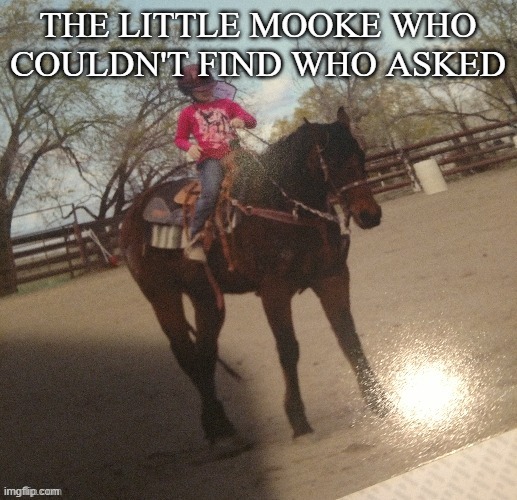 THE LITTLE MOOKE WHO COULDN'T FIND WHO ASKED | made w/ Imgflip meme maker