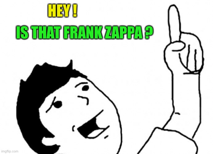 HEY ! IS THAT FRANK ZAPPA ? | made w/ Imgflip meme maker