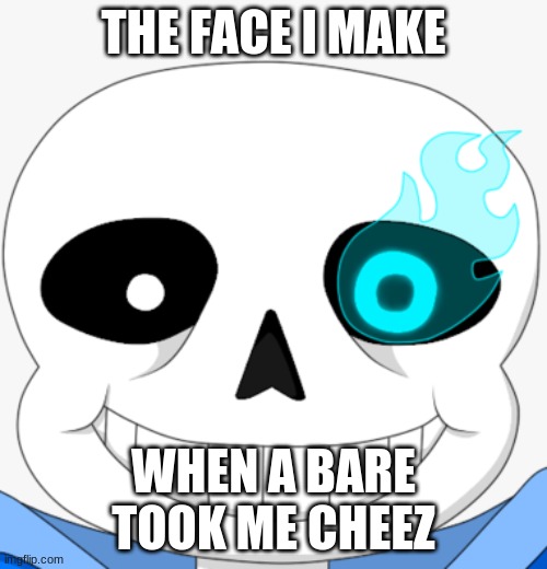 sans | THE FACE I MAKE; WHEN A BARE TOOK ME CHEEZ | image tagged in i can has cheezburger cat | made w/ Imgflip meme maker