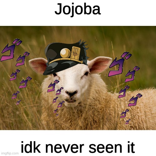 Jojoba | Jojoba; idk never seen it | image tagged in jojo,baa | made w/ Imgflip meme maker