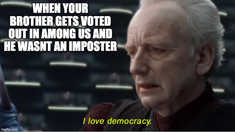 I love democracy | WHEN YOUR BROTHER GETS VOTED OUT IN AMONG US AND HE WASNT AN IMPOSTER | image tagged in i love democracy | made w/ Imgflip meme maker