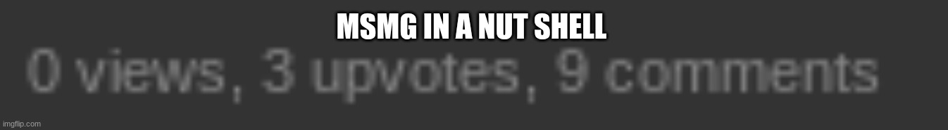 MSMG IN A NUT SHELL | made w/ Imgflip meme maker