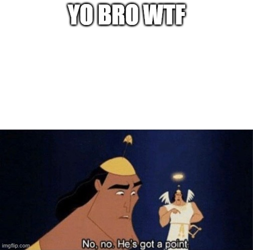 YO BRO WTF | image tagged in no no he's got a point | made w/ Imgflip meme maker