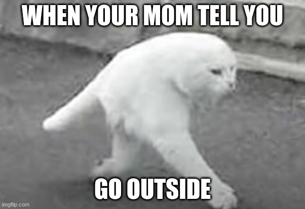 two legged cat | WHEN YOUR MOM TELL YOU; GO OUTSIDE | image tagged in cats,i hate outside | made w/ Imgflip meme maker