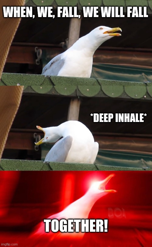 Inhaling seagull | WHEN, WE, FALL, WE WILL FALL; *DEEP INHALE*; TOGETHER! | image tagged in inhaling seagull | made w/ Imgflip meme maker