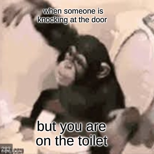 monkee | when someone is knocking at the door; but you are on the toilet | image tagged in funny meme | made w/ Imgflip meme maker