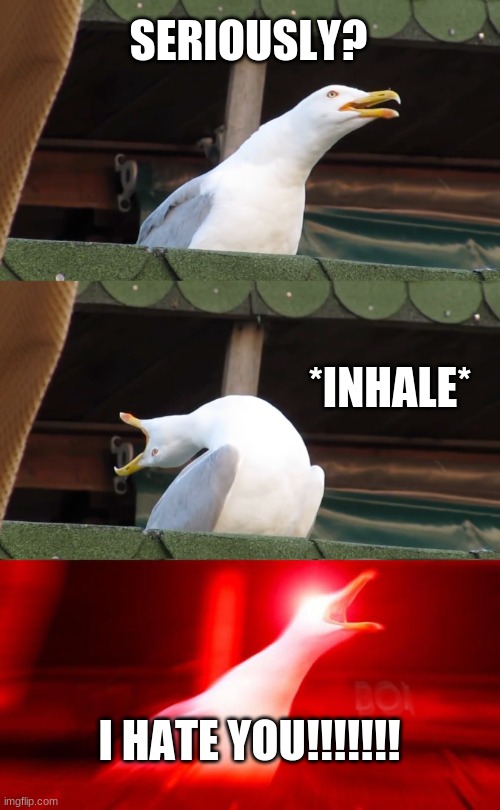 Inhaling seagull | SERIOUSLY? *INHALE*; I HATE YOU!!!!!!! | image tagged in inhaling seagull | made w/ Imgflip meme maker