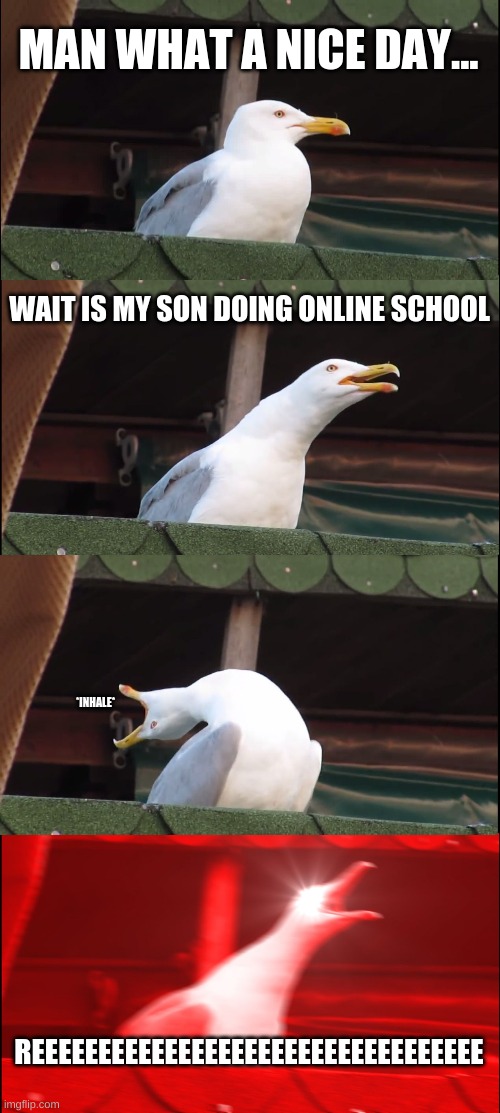 Inhaling Seagull | MAN WHAT A NICE DAY... WAIT IS MY SON DOING ONLINE SCHOOL; *INHALE*; REEEEEEEEEEEEEEEEEEEEEEEEEEEEEEEEEE | image tagged in memes,inhaling seagull | made w/ Imgflip meme maker