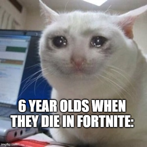 Crying cat | 6 YEAR OLDS WHEN THEY DIE IN FORTNITE: | image tagged in crying cat | made w/ Imgflip meme maker