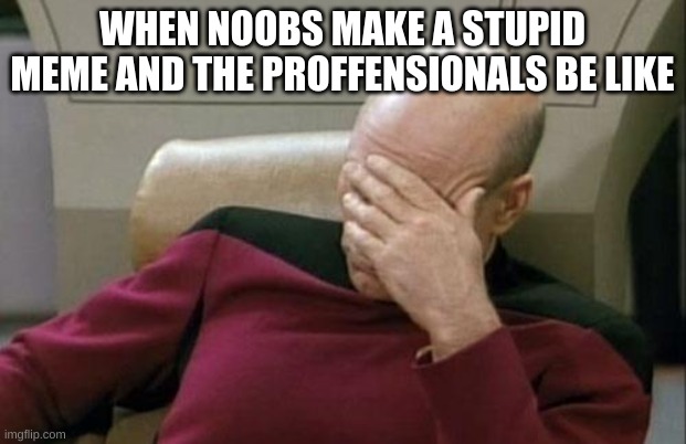 relatable? (im the noob) | WHEN NOOBS MAKE A STUPID MEME AND THE PROFFENSIONALS BE LIKE | image tagged in memes,captain picard facepalm,dumb meme,sorry i annoyed you,noob | made w/ Imgflip meme maker