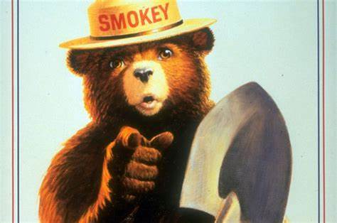 Smokey the Bear Blank Meme Template