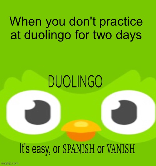 When you don't practice at duoling for two days... | When you don't practice at duolingo for two days | image tagged in memes | made w/ Imgflip meme maker