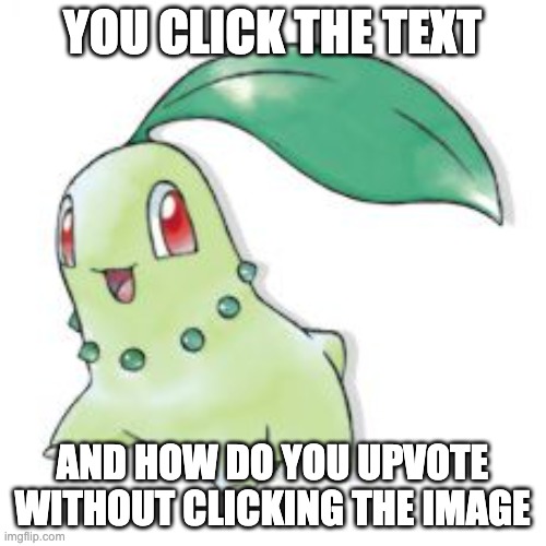 Chikorita | YOU CLICK THE TEXT AND HOW DO YOU UPVOTE WITHOUT CLICKING THE IMAGE | image tagged in chikorita | made w/ Imgflip meme maker