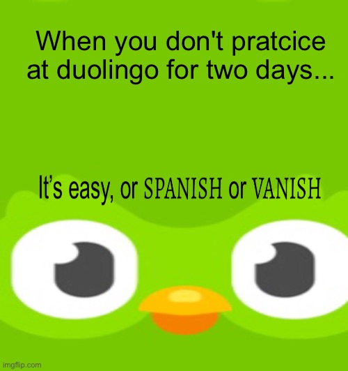 Whyyyyyy??!! | When you don't pratcice at duolingo for two days... | image tagged in memes | made w/ Imgflip meme maker