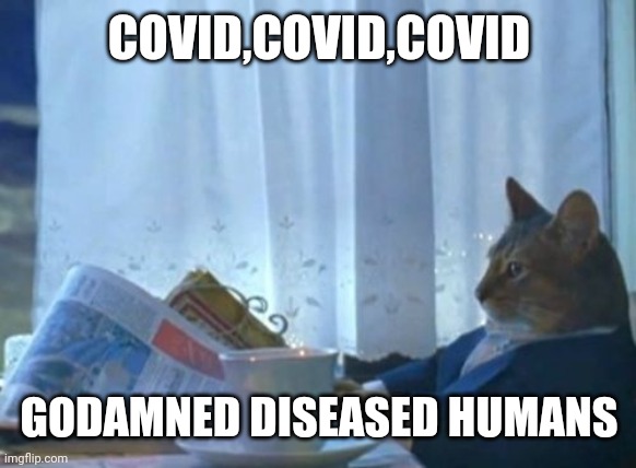 I Should Buy A Boat Cat | COVID,COVID,COVID; GODAMNED DISEASED HUMANS | image tagged in memes,i should buy a boat cat | made w/ Imgflip meme maker