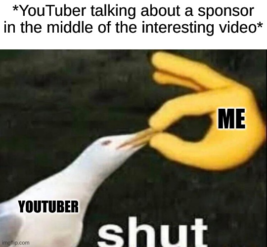 I hate sponsors. | *YouTuber talking about a sponsor in the middle of the interesting video*; ME; YOUTUBER | image tagged in shut | made w/ Imgflip meme maker