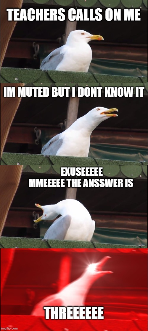 Inhaling Seagull Meme | TEACHERS CALLS ON ME; IM MUTED BUT I DONT KNOW IT; EXUSEEEEE MMEEEEE THE ANSSWER IS; THREEEEEE | image tagged in memes,inhaling seagull | made w/ Imgflip meme maker