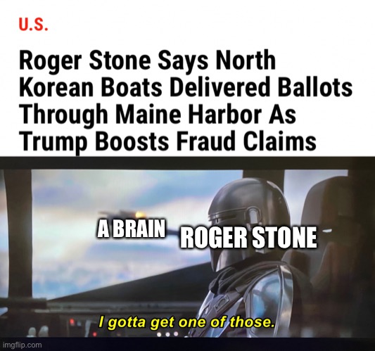 Roger stone(er) | A BRAIN; ROGER STONE | image tagged in roger stone,voter fraud,maine,2020 elections,donald trump | made w/ Imgflip meme maker