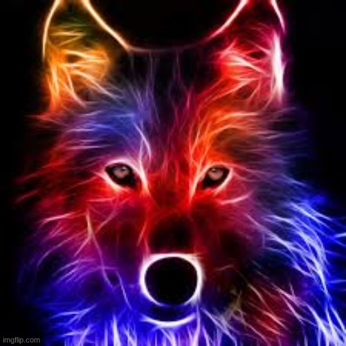 neon fox | image tagged in cool,fox,neon lights | made w/ Imgflip meme maker