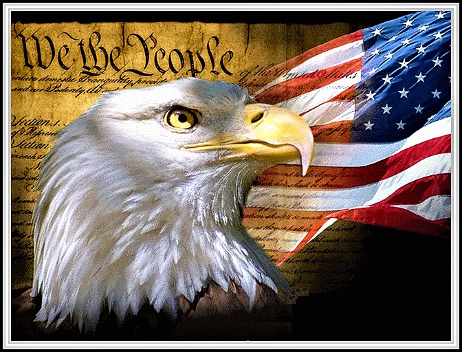 american flag eagle constitution