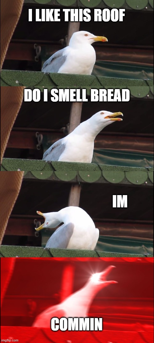 Inhaling Seagull Meme | I LIKE THIS ROOF; DO I SMELL BREAD; IM; COMMIN | image tagged in memes,inhaling seagull | made w/ Imgflip meme maker