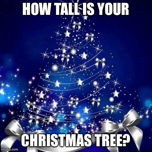 LOL | HOW TALL IS YOUR; CHRISTMAS TREE? | image tagged in merry christmas,memes,question,christmas | made w/ Imgflip meme maker