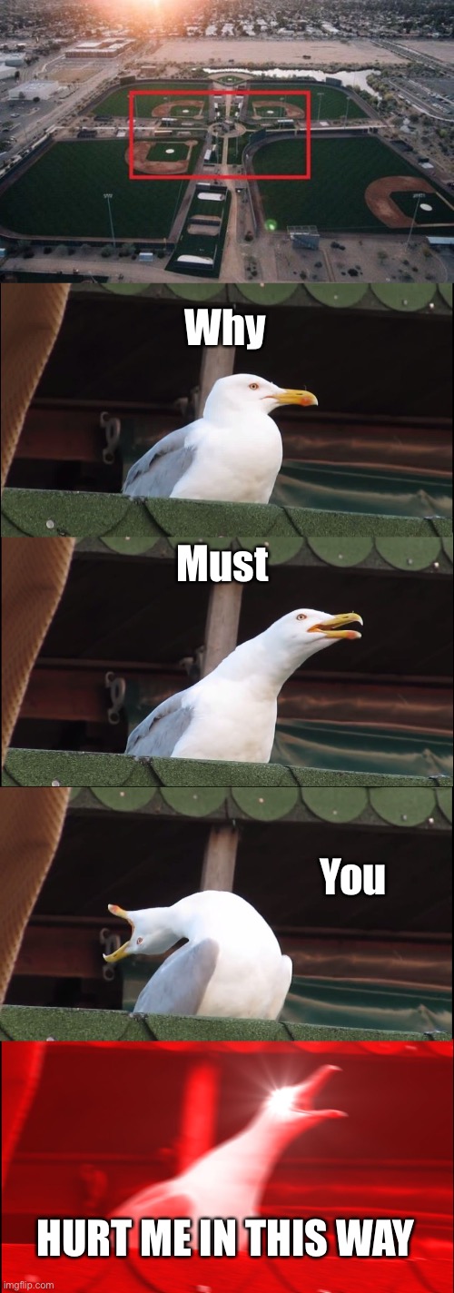 One job, that’s all you had, one job! | Why; Must; You; HURT ME IN THIS WAY | image tagged in memes,inhaling seagull | made w/ Imgflip meme maker