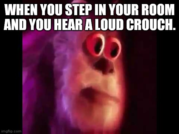Sully Groan | WHEN YOU STEP IN YOUR ROOM AND YOU HEAR A LOUD CROUCH. | image tagged in sully groan | made w/ Imgflip meme maker