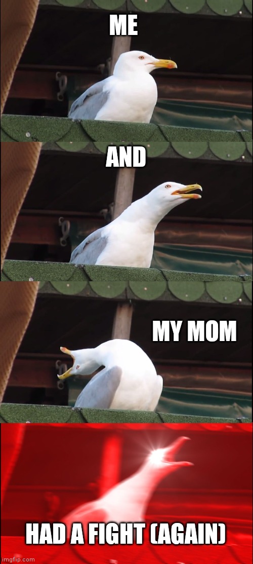 Inhaling Seagull Meme | ME; AND; MY MOM; HAD A FIGHT (AGAIN) | image tagged in memes,inhaling seagull | made w/ Imgflip meme maker