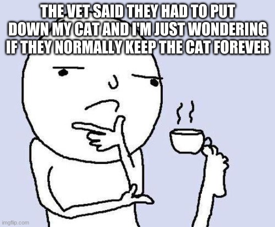 Holding cat | THE VET SAID THEY HAD TO PUT DOWN MY CAT AND I'M JUST WONDERING IF THEY NORMALLY KEEP THE CAT FOREVER | image tagged in thinking meme | made w/ Imgflip meme maker