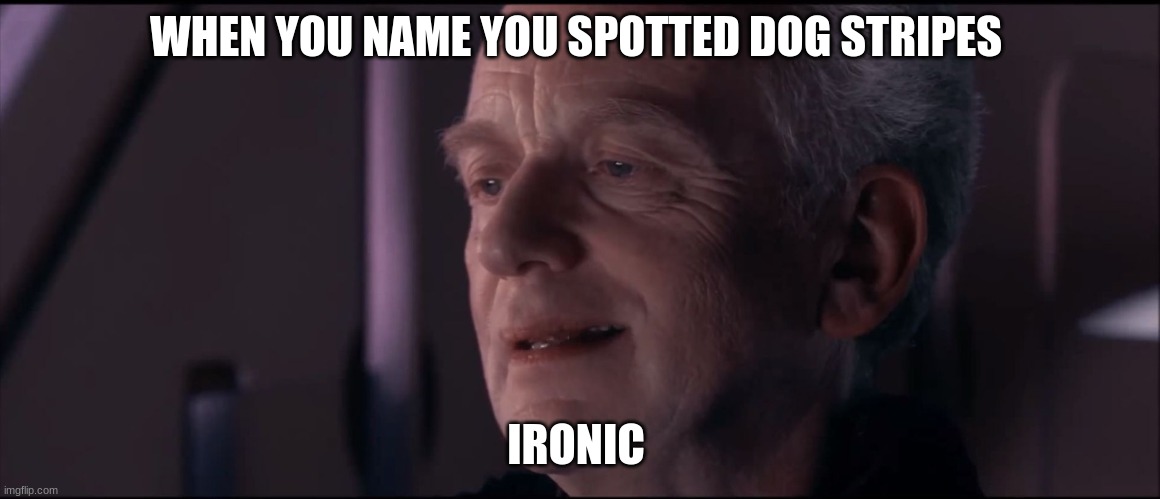Palpatine Ironic  | WHEN YOU NAME YOU SPOTTED DOG STRIPES; IRONIC | image tagged in palpatine ironic | made w/ Imgflip meme maker
