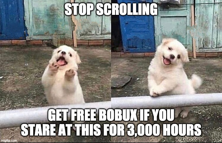Hey, stop scrolling | STOP SCROLLING; GET FREE BOBUX IF YOU STARE AT THIS FOR 3,000 HOURS | image tagged in hey stop scrolling | made w/ Imgflip meme maker